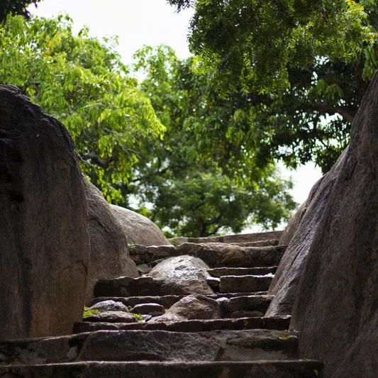 Staircase made out of stone going upwards towards lush green trees. A photograph from Mahabalipuram, Tamil Nadu